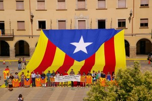 L'Estelada de l'ANC del Bages a Navàs L'Estelada de l'ANC del Bages a Navàs