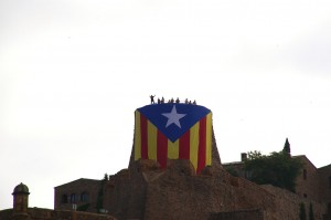 L'Estelada de l'ANC del Bages a Cardona