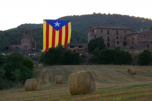 Estelada a Santa Maria del Grau, Fals