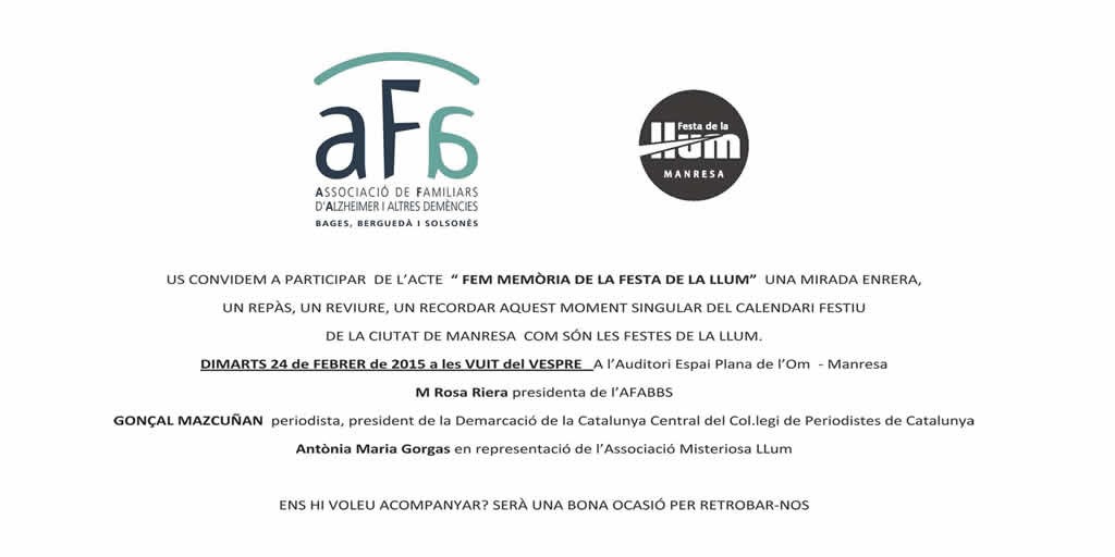 FEM MEMÒRIA DE LA FESTA DE LA LLUM
