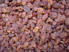 Productes